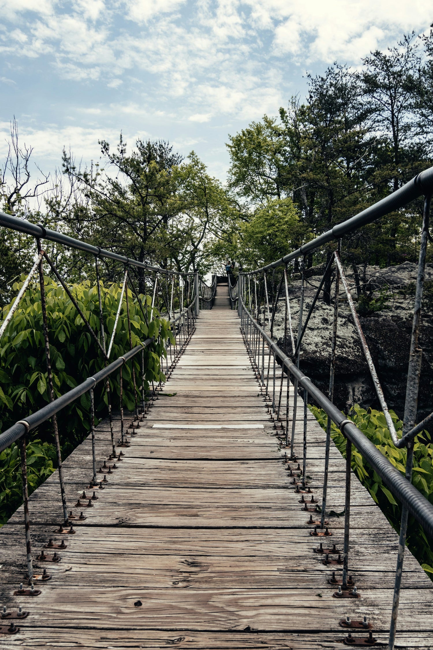 Relax & Recharge- Sleep & Stress